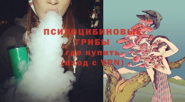 соль ск Балабаново