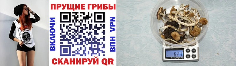Галлюциногенные грибы прущие грибы  Белинский 